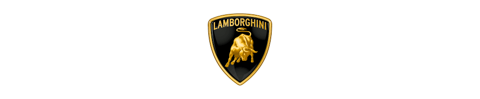Collecteurs d'échappement Lamborghini