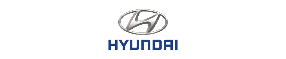 Silent blocks/bras de suspensions Hyundai