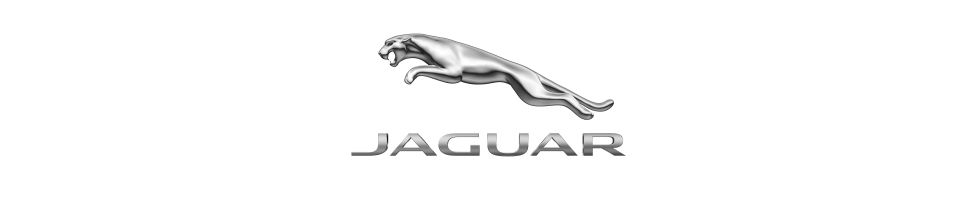 Accessoires JAGUAR